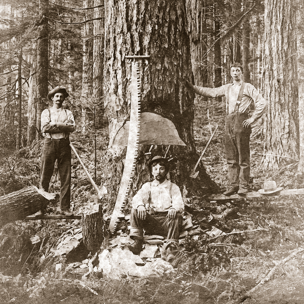 History of Logging